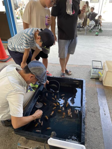 金魚すくい　BBQ大会　いきものがかり